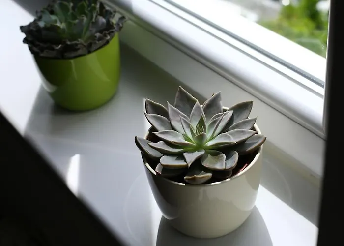 Apartment ☆beach Centar Large Stylish With Terrace Split